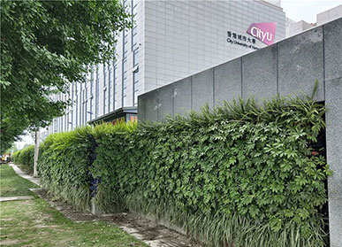 大學(xué)研究所室外植物墻
