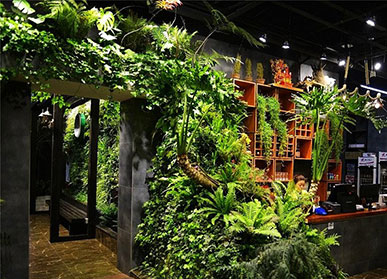 成都室內(nèi)植物墻