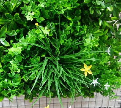 綠植仿真植物墻