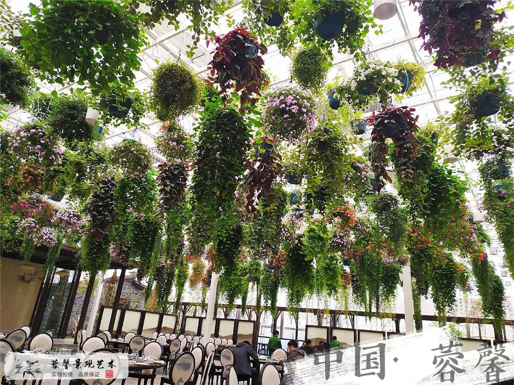 生態(tài)餐廳打造案例 (2)