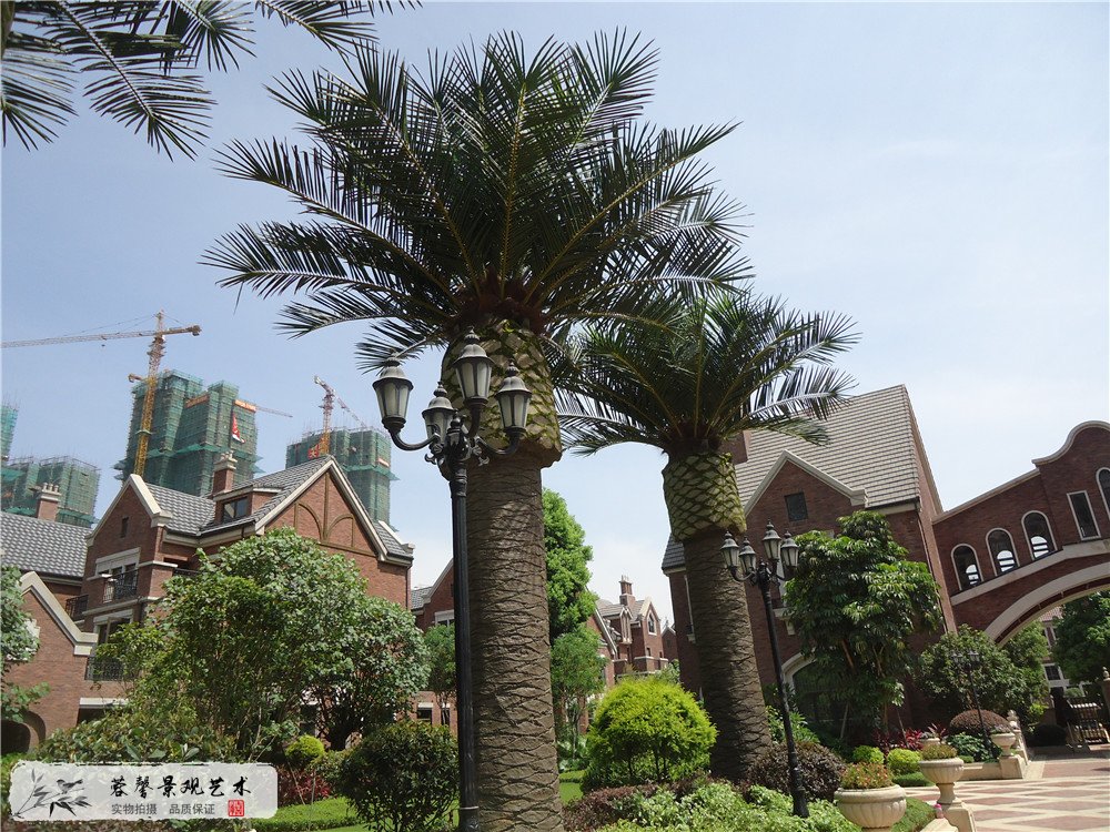 城市立體綠化發(fā)展方向