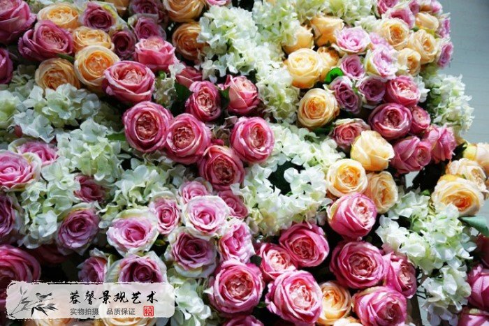 玫瑰花墻