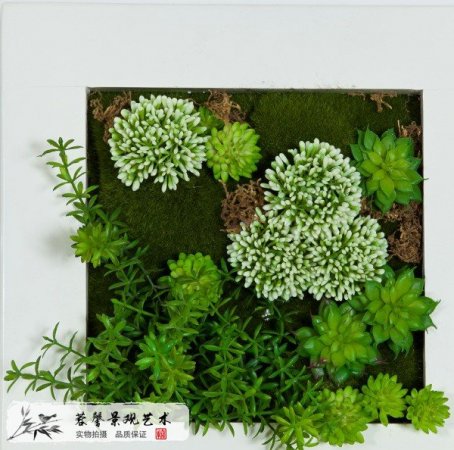 仿真多肉植物墻