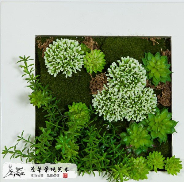 仿真多肉植物墻