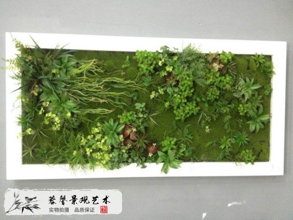 仿真多肉植物墻