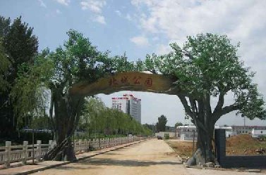 水泥仿真樹制作