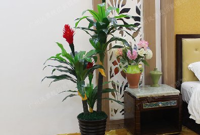 常見的仿真植物