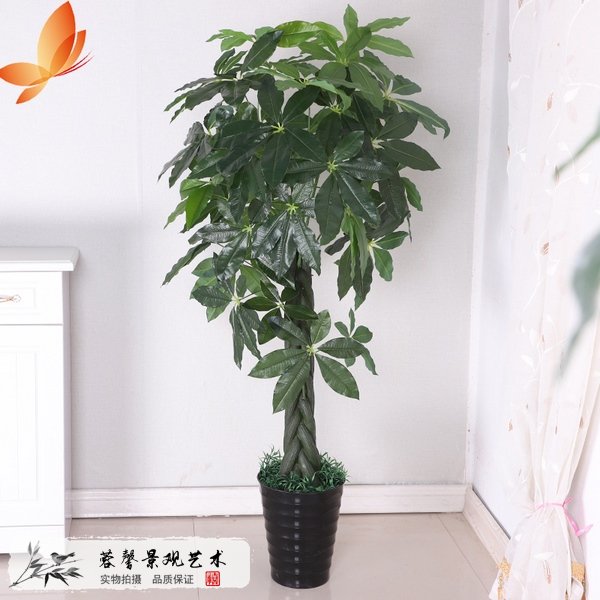 生活仿真植物