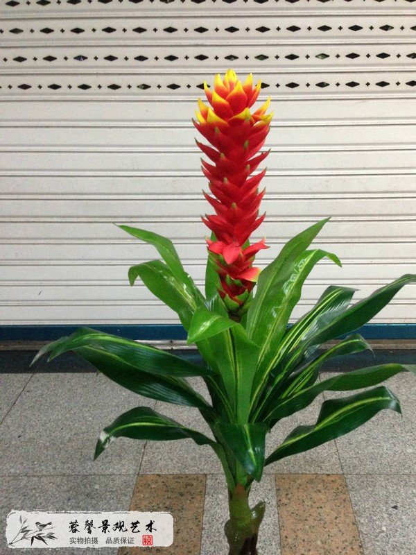 生活仿真植物