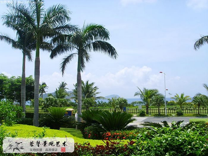 仿真椰子樹基站