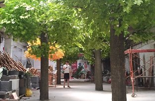 仿真樹價格