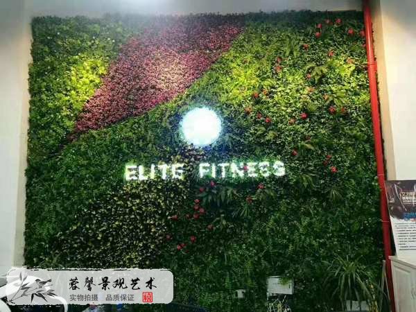仿真植物墻使用