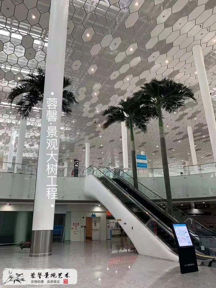 機場仿真椰子樹