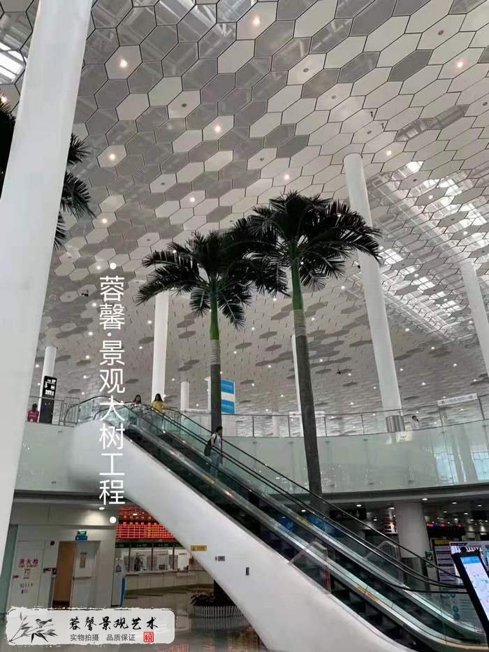 機場仿真椰子樹