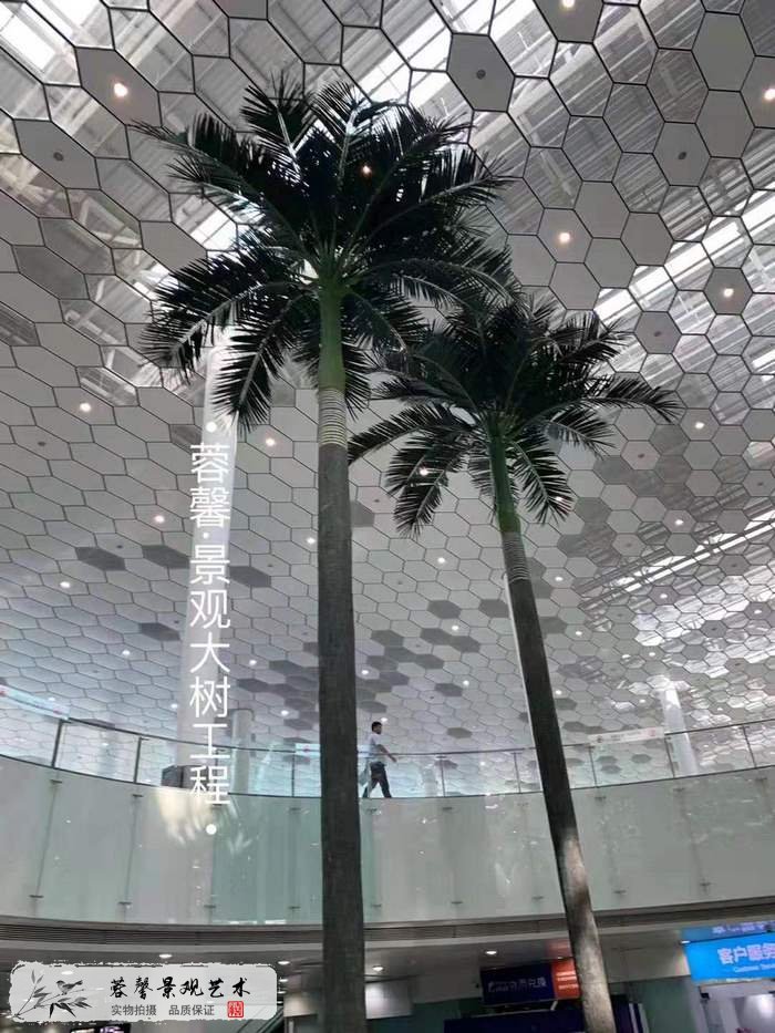 機場仿真椰子樹