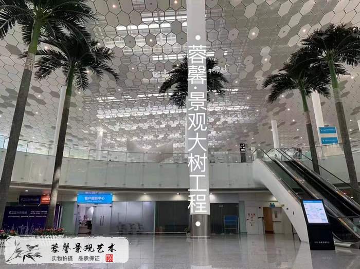 機場仿真椰子樹