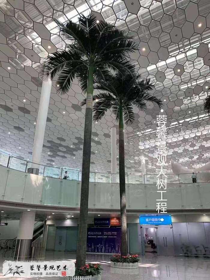 機場仿真椰子樹