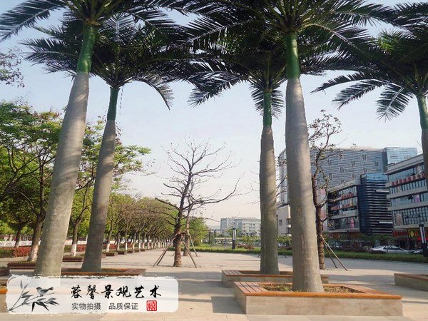 室外仿真樹養(yǎng)護