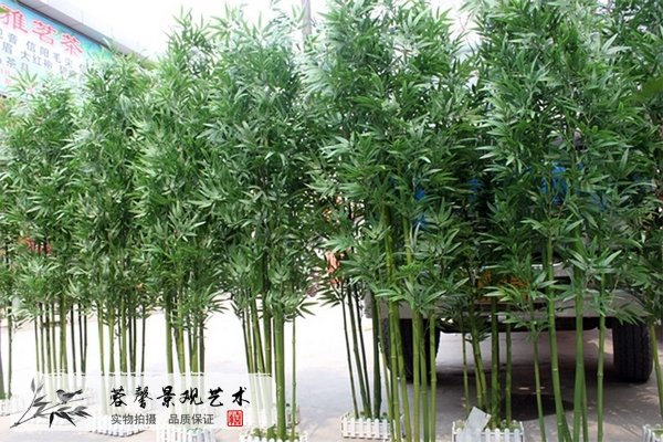 仿真竹子小知識