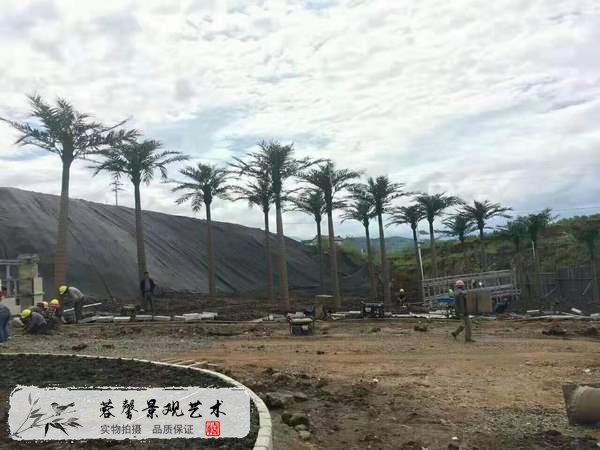 室外仿真椰子樹