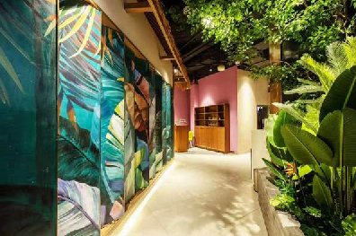 餐廳仿真植物墻