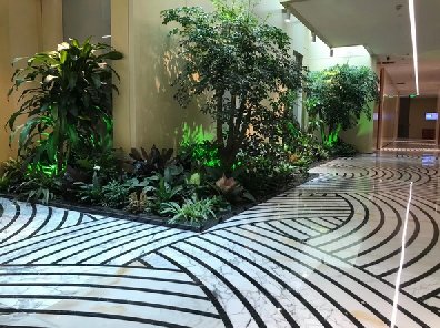 仿真綠植養(yǎng)護