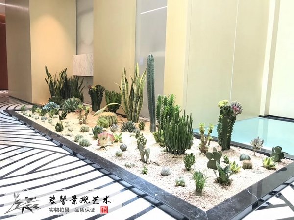 仿真綠植養(yǎng)護(hù)
