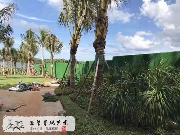 仿真植物墻制作
