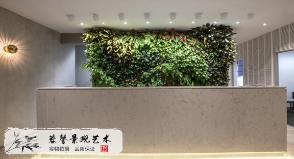 室內(nèi)植物墻