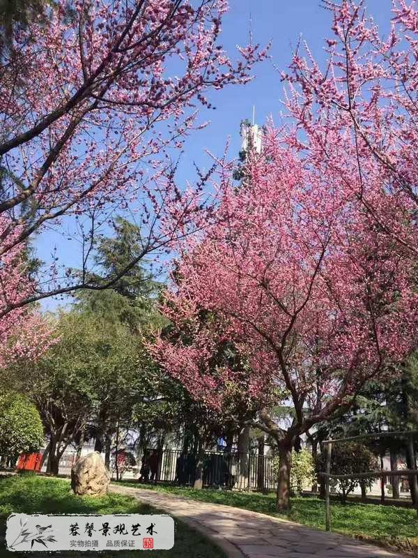 仿真桃花樹