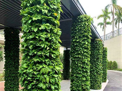 工業(yè)園室外植物墻
