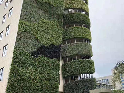 螺旋式的垂直景觀