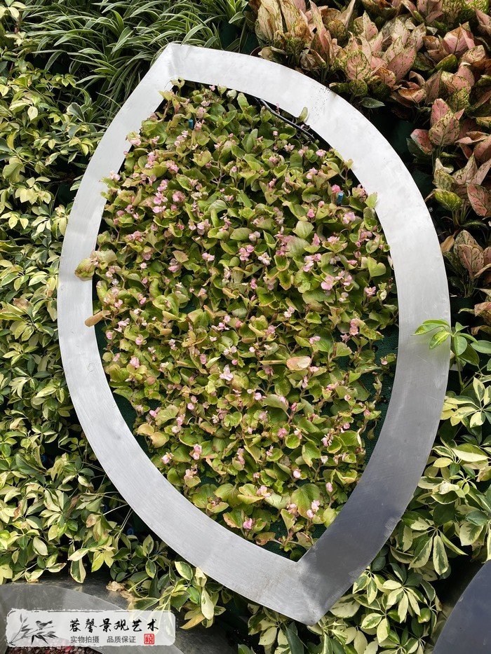 花藝展垂直綠化