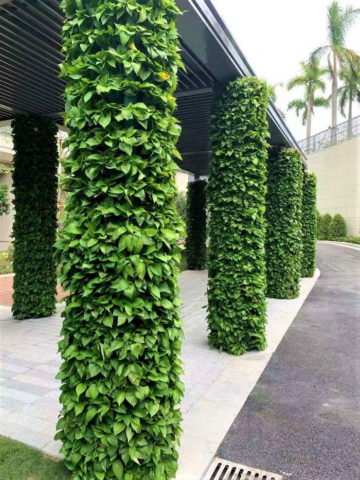 工業(yè)園植物墻