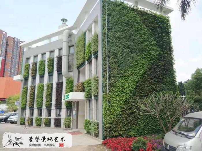 大型室外植物墻