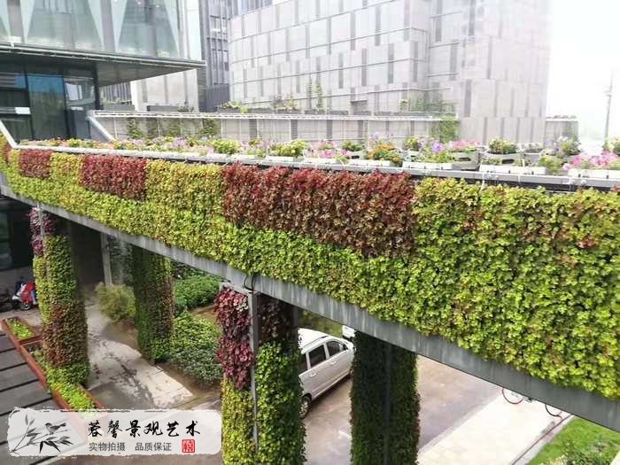 大型室外植物墻
