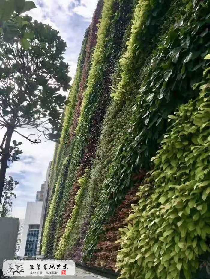 大型室外植物墻