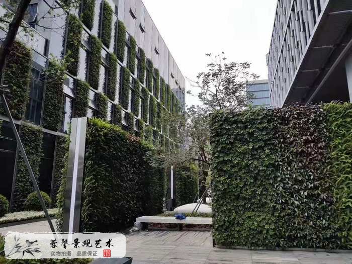 大型室外植物墻