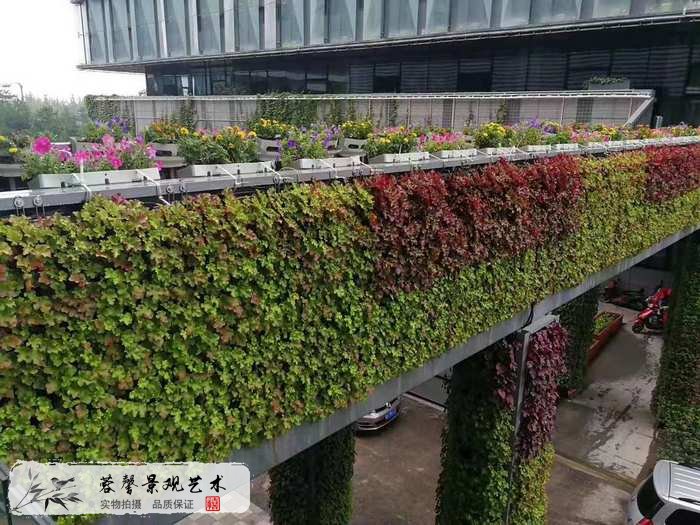 大型室外植物墻