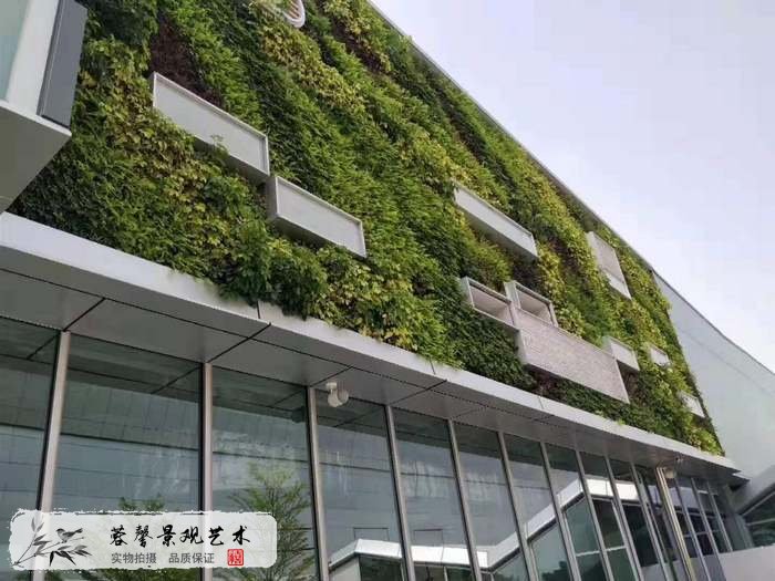 大型室外植物墻