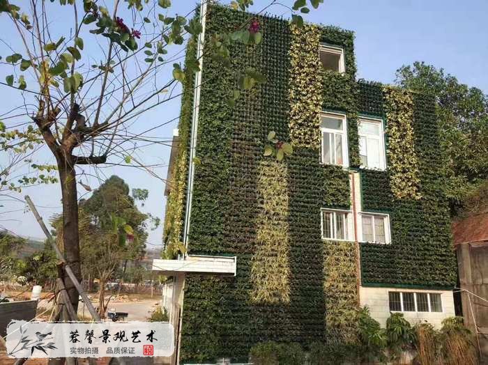 大型室外植物墻