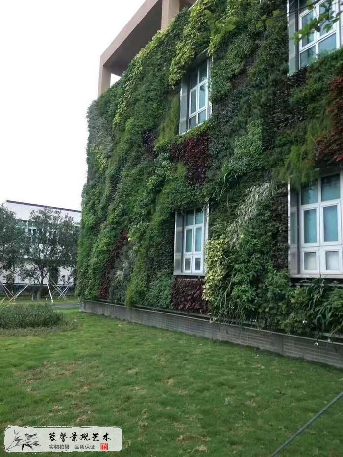 大型室外植物墻