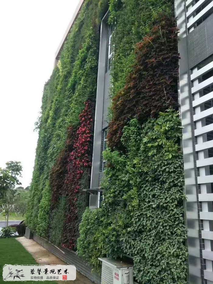 大型室外植物墻
