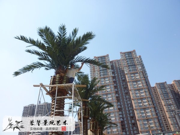 仿真樹分類