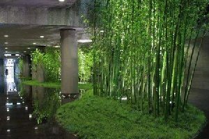 仿真竹子的用途