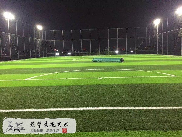 足球場(chǎng)人造草坪