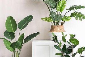 仿真植物裝飾