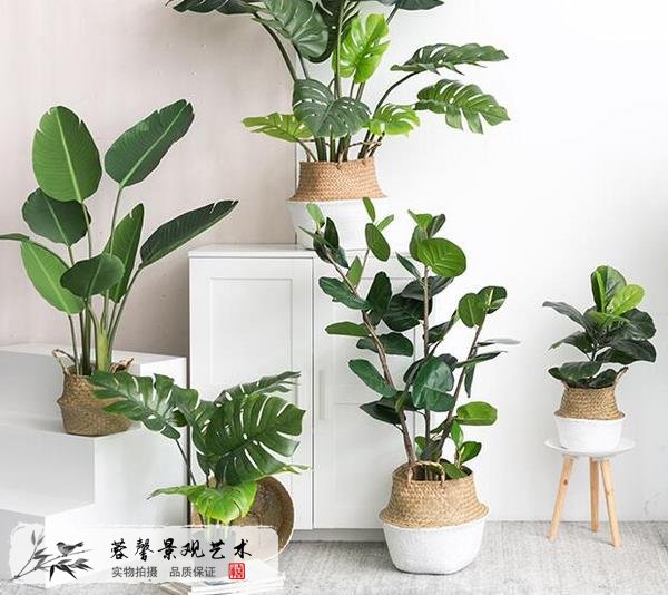 仿真植物裝飾
