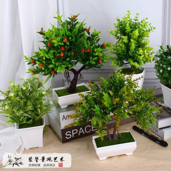室內(nèi)仿真植物