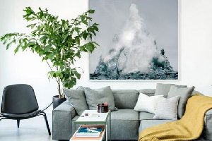 仿真植物擺放